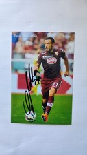 Fabio Quagliarella, Italia