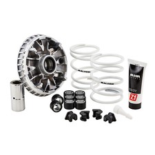 MF3116 Variatore Malossi