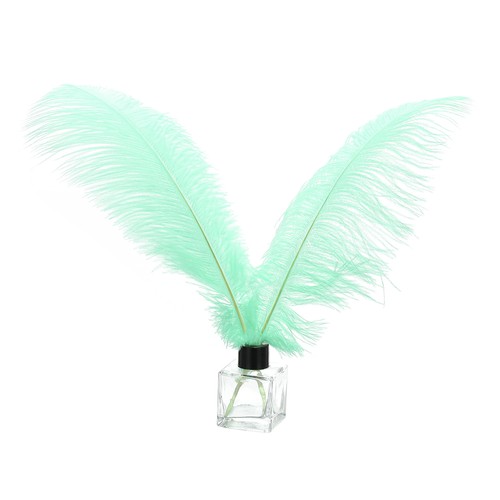 Pcs piume struzzo - piume,