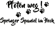 SPRINGER SPANIEL Adesivi Auto