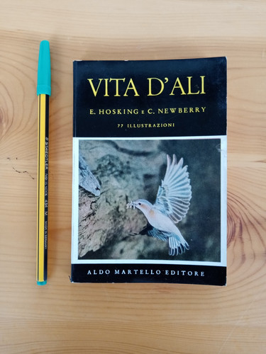 Vita ali hosking - vita,