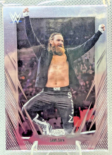 Scheda sami zayn base - base,