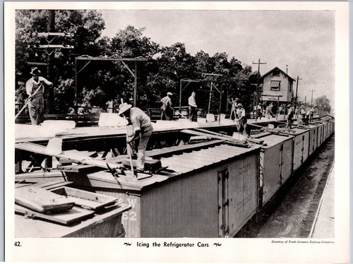 Fotografia ferroviaria vintage - fotografia,
