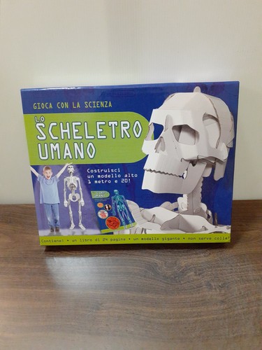 Scheletro umano gioca - scheletro,