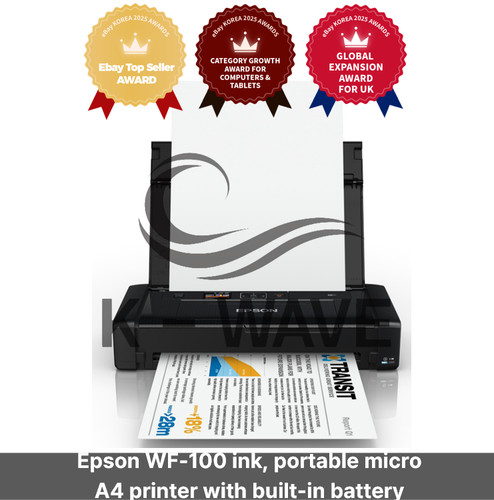 Inchiostro epson 100 - inchiostro,