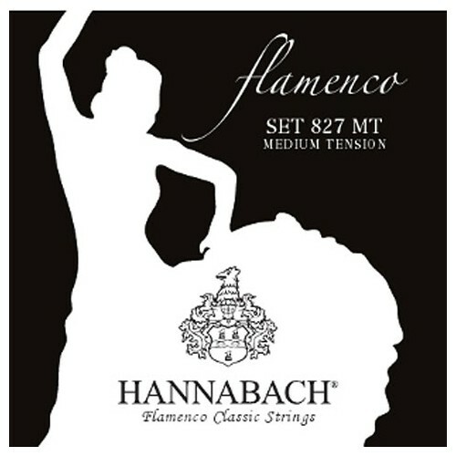 Hannabach muta corde chitarra