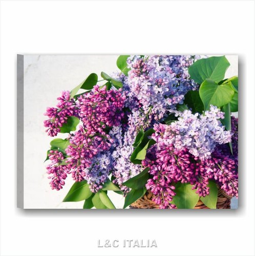 Vintage lilac quadro stampa - quadro,