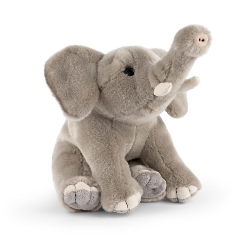 Living nature elefante - nature,