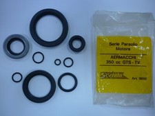 SERIE PARAOLIO MOTORE