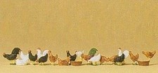 Galline galli - galline, e