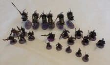 Adeptus Custodes Army