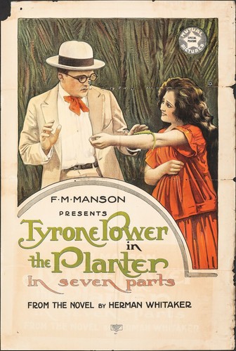 Poster fioriera 1917 un - poster,