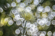 Vintage Helios 44M Lens w/