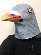 Piccione Maschera Lattice