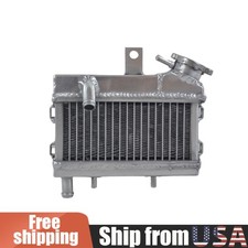 Aluminum Radiator for Polini