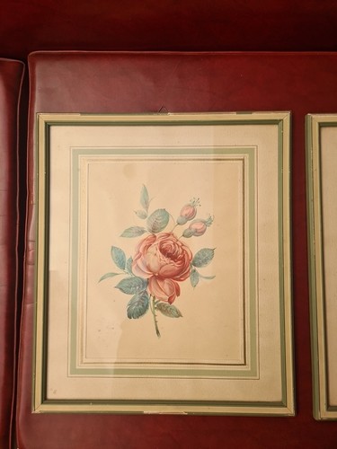 Coppia acquerelli fiori