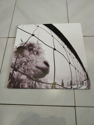 Pearl jam vinyle tours - pearl,