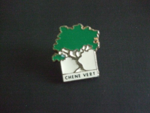 Pins arbre chene - chene, vert
