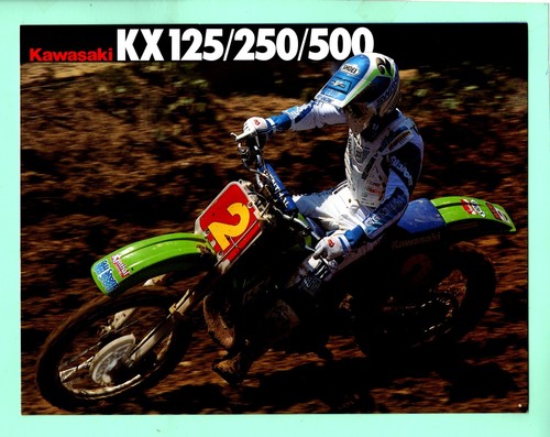 Prospectus brochure - ▬►,