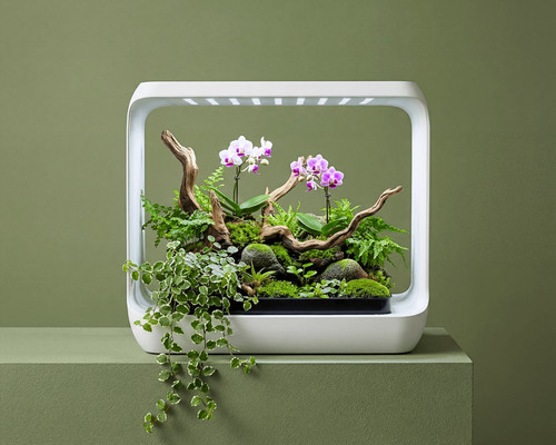 Aquaplant wabi kusa led cube - aquaplant,