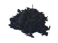 1kg Biochar Carbone Vegetale Terralba + Compost (Microorganismi contro Il )