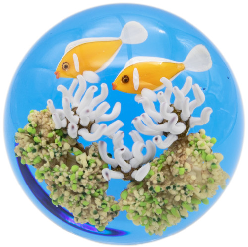 Splendido gordon smith ocean - splendido,