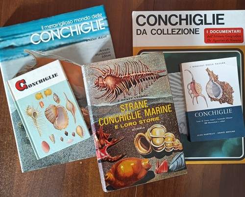 Lotto libri conchiglie - lotto,