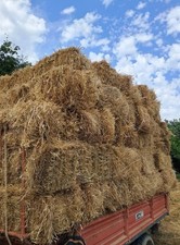 Presse Fieno Conigli Pacciamatura Paglia Fienagione Stagione 2025 balle Ballette