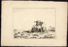 Stampa antica maestro-PAESAGGIO-PRATO-MUCCA-Van Os-1798