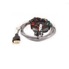 RO 294971 STATORE VOLANO