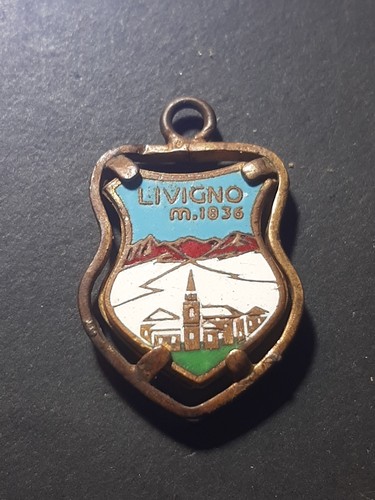 Lotto medaglia spilla livigno - medaglia,