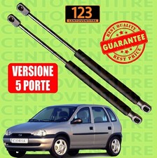 2 Molle A Gas Pistoni