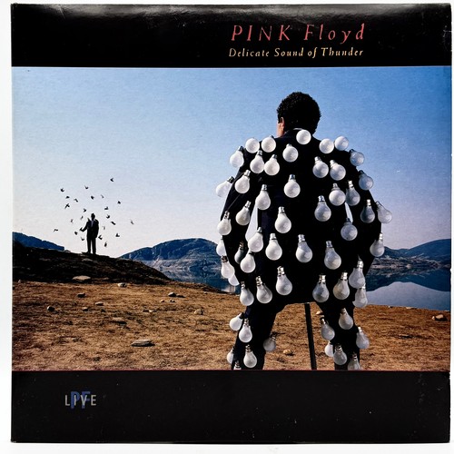 Pink floyd delicate - pink,