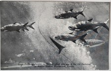 1940 PC TARPON AKA SILVER