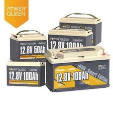 Batteria al litio Power Queen