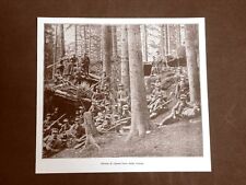 WW1 Prima guerra mondiale 1914-1918 Soldati in un'ora di riposo fuori trincea