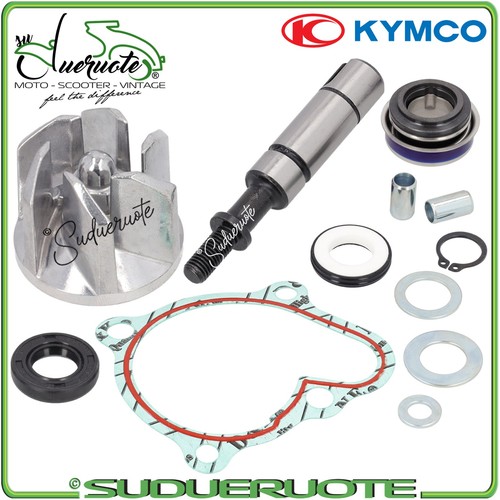 Kit revisione pompa acqua per - revisione,