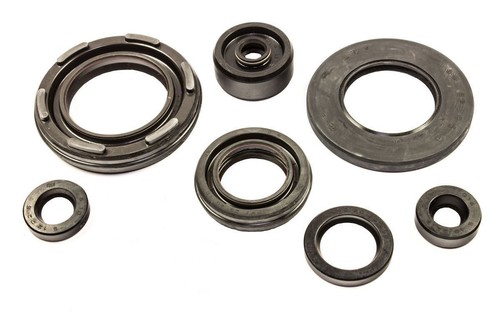 Kit guarnizioni olio motore