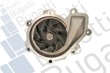 Pompa Acqua Mercedes