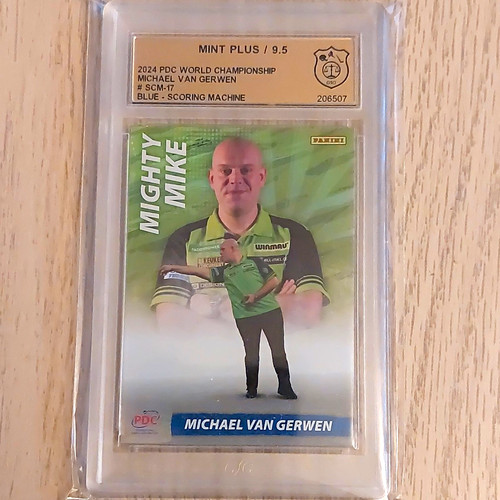 Panini michael van gerwen - michael,