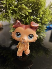 ✨️LPS Authentic Littlest