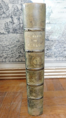 Elu 1981 eo - 1981,