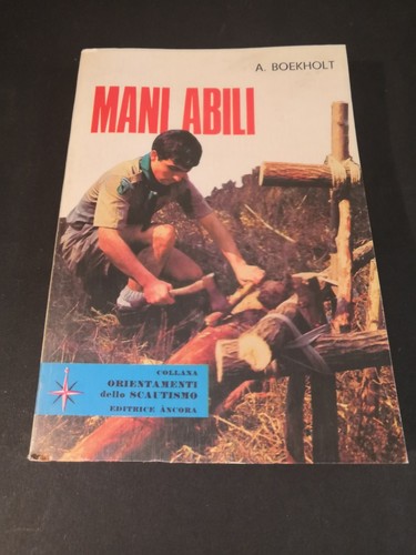 Mani abili boekholt - mani,