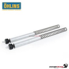 Ohlins FSK100 molle forcella