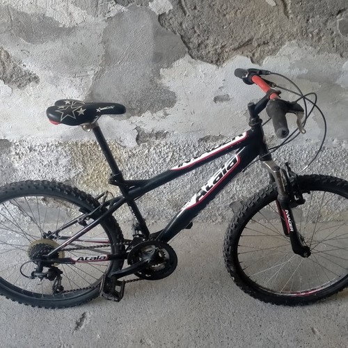 Bicicletta ragazzo mountain - bicicletta,