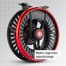 Mulinello a mosca coda grigia