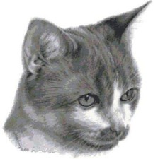 SCHEMA SCHEMI PUNTO CROCE RICAMO QUADRO GATTO CAT KITTEN CROSS STITCH PATTERN