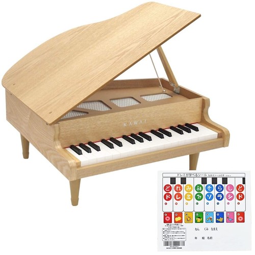 Pianoforte coda giocattolo - pianoforte,