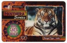 Bengala Tigre - India