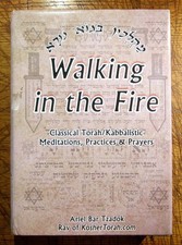 Ariel Bar Tzadok / Walking In